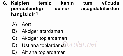 Temel İlk Yardım Bilgisi 2016 - 2017 Ara Sınavı 6.Soru