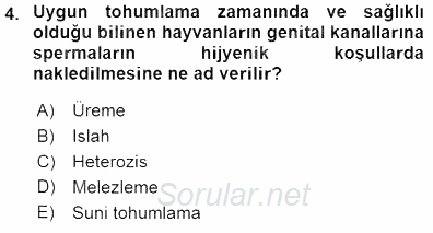 Veteriner Hizmetleri Mevzuatı ve Etik 2015 - 2016 Dönem Sonu Sınavı 4.Soru