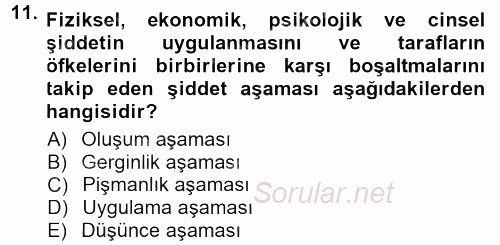 Toplumsal Yaşamda Aile 2012 - 2013 Dönem Sonu Sınavı 11.Soru
