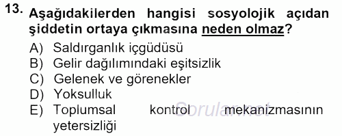 Toplumsal Yaşamda Aile 2012 - 2013 Dönem Sonu Sınavı 13.Soru