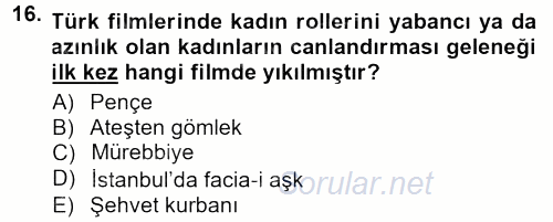 Toplumsal Yaşamda Aile 2012 - 2013 Dönem Sonu Sınavı 16.Soru