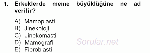 Temel Sağlık Hizmetleri 2012 - 2013 Ara Sınavı 1.Soru