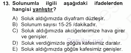 Temel Sağlık Hizmetleri 2012 - 2013 Ara Sınavı 13.Soru