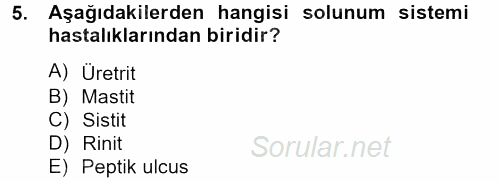Temel Sağlık Hizmetleri 2012 - 2013 Ara Sınavı 5.Soru