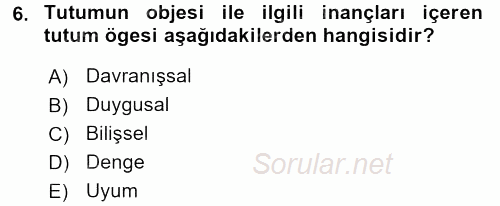Davranış Bilimleri 2 2016 - 2017 3 Ders Sınavı 6.Soru