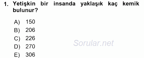 İnsan Beden Yapısı Ve Fizyolojisi 2017 - 2018 Ara Sınavı 1.Soru