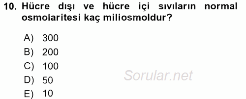 İnsan Beden Yapısı Ve Fizyolojisi 2017 - 2018 Ara Sınavı 10.Soru