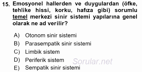 İnsan Beden Yapısı Ve Fizyolojisi 2017 - 2018 Ara Sınavı 15.Soru