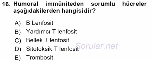 İnsan Beden Yapısı Ve Fizyolojisi 2017 - 2018 Ara Sınavı 16.Soru