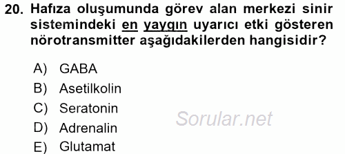 İnsan Beden Yapısı Ve Fizyolojisi 2017 - 2018 Ara Sınavı 20.Soru