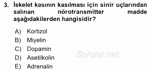 İnsan Beden Yapısı Ve Fizyolojisi 2017 - 2018 Ara Sınavı 3.Soru