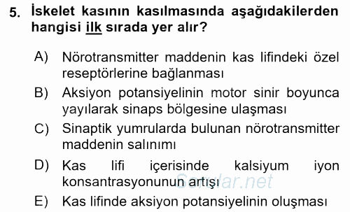 İnsan Beden Yapısı Ve Fizyolojisi 2017 - 2018 Ara Sınavı 5.Soru