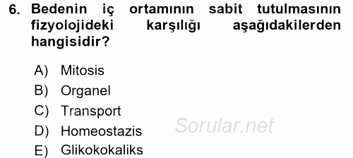 İnsan Beden Yapısı Ve Fizyolojisi 2017 - 2018 Ara Sınavı 6.Soru