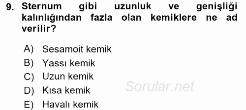 İnsan Beden Yapısı Ve Fizyolojisi 2017 - 2018 Ara Sınavı 9.Soru