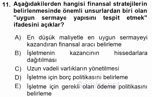 Stratejik Yönetim 2 2016 - 2017 Ara Sınavı 11.Soru