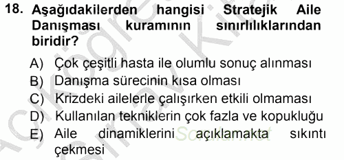 Anne Baba Eğitimi 2012 - 2013 Ara Sınavı 18.Soru