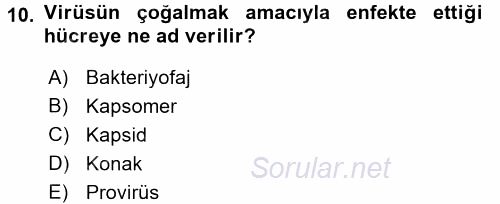 Genel Biyoloji 1 2015 - 2016 Tek Ders Sınavı 10.Soru