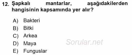 Genel Biyoloji 1 2015 - 2016 Tek Ders Sınavı 12.Soru