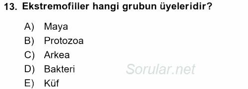 Genel Biyoloji 1 2015 - 2016 Tek Ders Sınavı 13.Soru