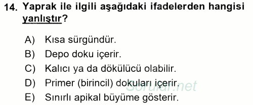 Genel Biyoloji 1 2015 - 2016 Tek Ders Sınavı 14.Soru