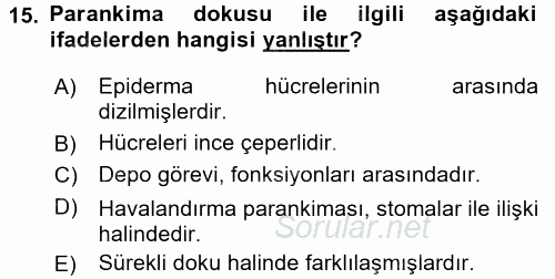 Genel Biyoloji 1 2015 - 2016 Tek Ders Sınavı 15.Soru