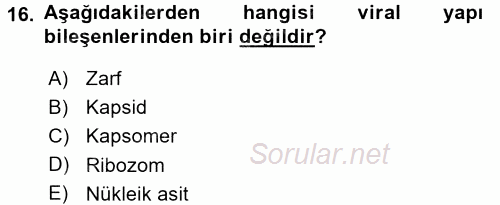Genel Biyoloji 1 2015 - 2016 Tek Ders Sınavı 16.Soru