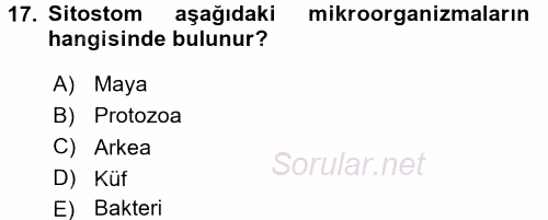 Genel Biyoloji 1 2015 - 2016 Tek Ders Sınavı 17.Soru