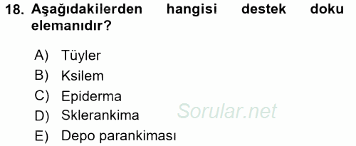 Genel Biyoloji 1 2015 - 2016 Tek Ders Sınavı 18.Soru