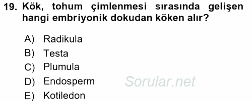 Genel Biyoloji 1 2015 - 2016 Tek Ders Sınavı 19.Soru