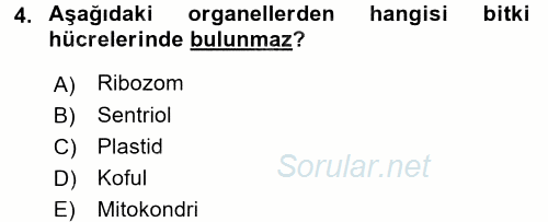 Genel Biyoloji 1 2015 - 2016 Tek Ders Sınavı 4.Soru