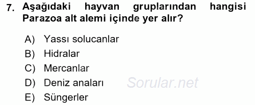 Genel Biyoloji 1 2015 - 2016 Tek Ders Sınavı 7.Soru