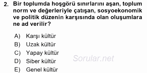 Küreselleşme ve Kültürlerarası İletişim 2016 - 2017 Ara Sınavı 2.Soru