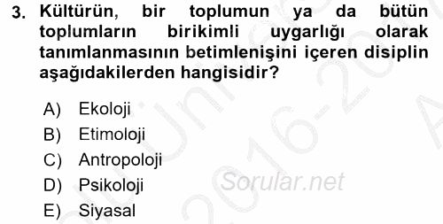 Küreselleşme ve Kültürlerarası İletişim 2016 - 2017 Ara Sınavı 3.Soru