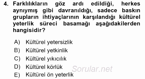 Küreselleşme ve Kültürlerarası İletişim 2016 - 2017 Ara Sınavı 4.Soru