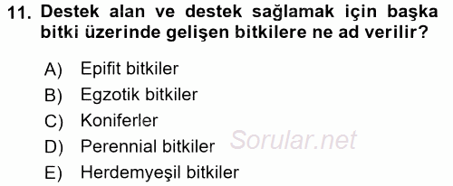 Peyzaj Çevre ve Tarım 2016 - 2017 Dönem Sonu Sınavı 11.Soru