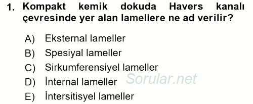 Temel Veteriner Histoloji ve Embriyoloji 2016 - 2017 Dönem Sonu Sınavı 1.Soru