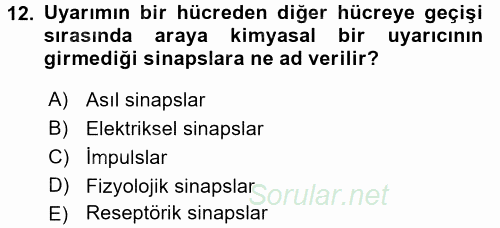 Temel Veteriner Histoloji ve Embriyoloji 2016 - 2017 Dönem Sonu Sınavı 12.Soru