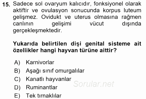 Temel Veteriner Histoloji ve Embriyoloji 2016 - 2017 Dönem Sonu Sınavı 15.Soru