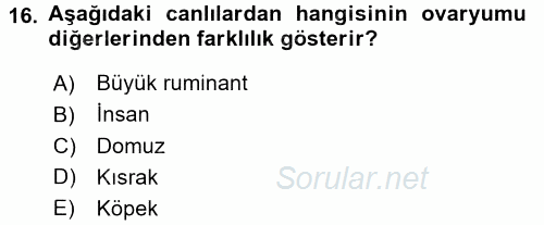 Temel Veteriner Histoloji ve Embriyoloji 2016 - 2017 Dönem Sonu Sınavı 16.Soru