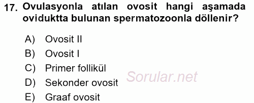 Temel Veteriner Histoloji ve Embriyoloji 2016 - 2017 Dönem Sonu Sınavı 17.Soru