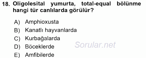Temel Veteriner Histoloji ve Embriyoloji 2016 - 2017 Dönem Sonu Sınavı 18.Soru