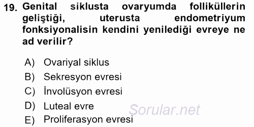 Temel Veteriner Histoloji ve Embriyoloji 2016 - 2017 Dönem Sonu Sınavı 19.Soru