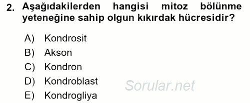Temel Veteriner Histoloji ve Embriyoloji 2016 - 2017 Dönem Sonu Sınavı 2.Soru