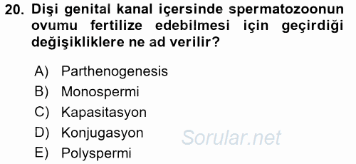 Temel Veteriner Histoloji ve Embriyoloji 2016 - 2017 Dönem Sonu Sınavı 20.Soru