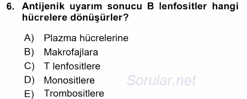 Temel Veteriner Histoloji ve Embriyoloji 2016 - 2017 Dönem Sonu Sınavı 6.Soru