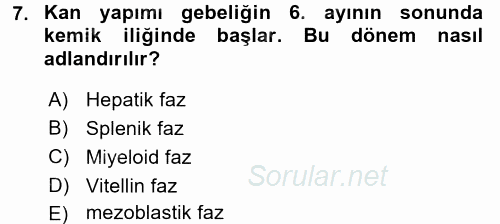 Temel Veteriner Histoloji ve Embriyoloji 2016 - 2017 Dönem Sonu Sınavı 7.Soru