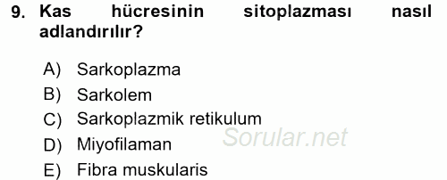 Temel Veteriner Histoloji ve Embriyoloji 2016 - 2017 Dönem Sonu Sınavı 9.Soru