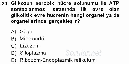 Hücre Kimyası 2014 - 2015 Dönem Sonu Sınavı 20.Soru