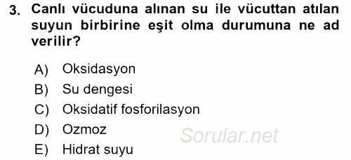 Temel Veteriner Biyokimya 2015 - 2016 Dönem Sonu Sınavı 3.Soru