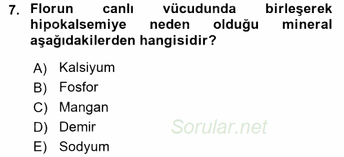 Temel Veteriner Biyokimya 2015 - 2016 Dönem Sonu Sınavı 7.Soru